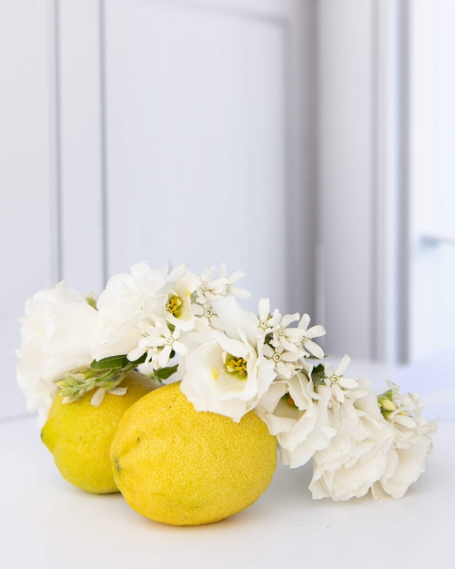 זר ראש מריה