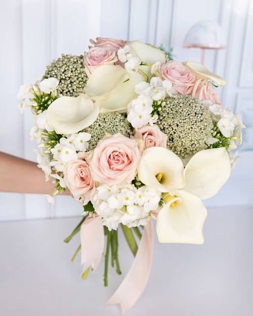 זר הנסיכה שרלוט