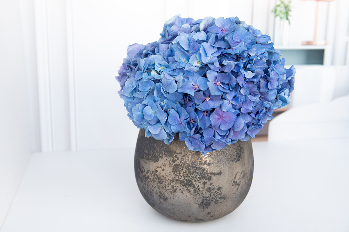 אגרטל האסקוויר הכחול – תמונה 2