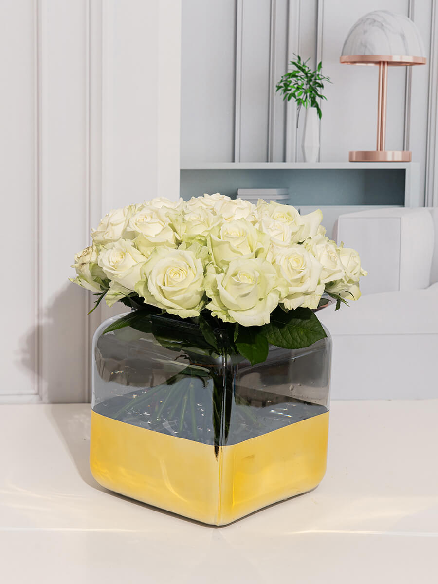 אגרטל הקיסר הלבן