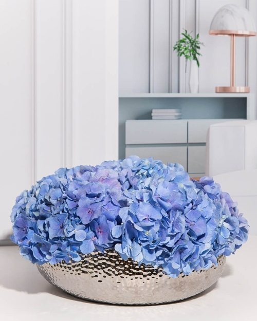 אגרטל בלו לייק