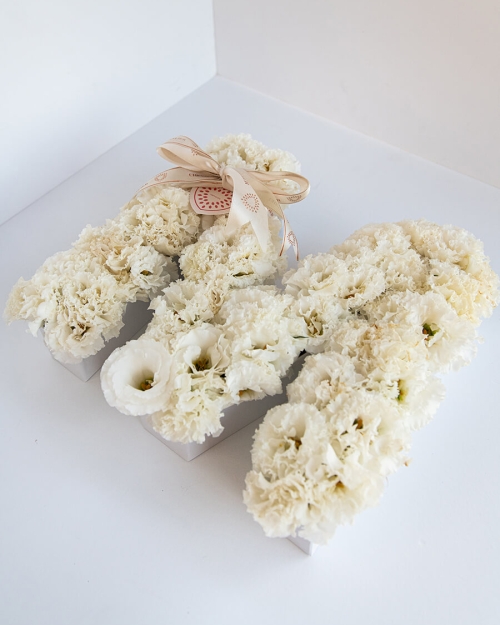 סידור אות ליזי לבן