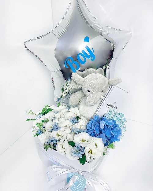 מארז לידה - בן