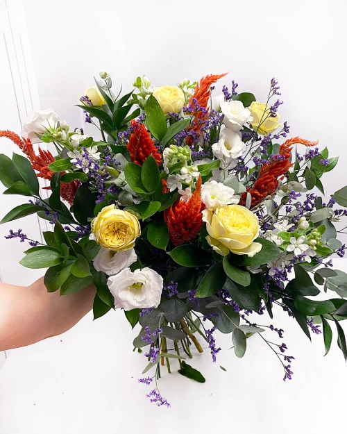 זר האנגלי הצבעוני