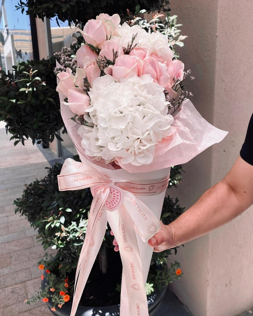 קונוס האבירה הלבנה