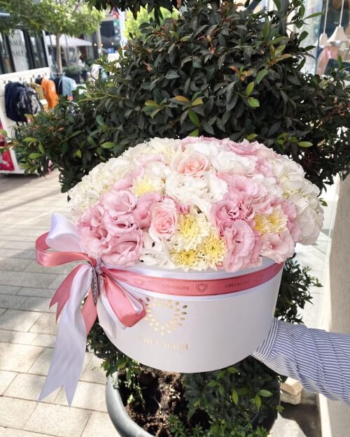 קופסת פונץ' בננה