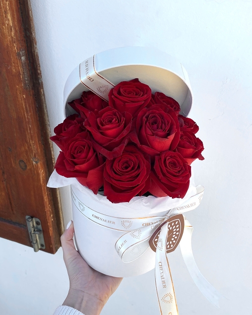 וויט לבלי בוקס