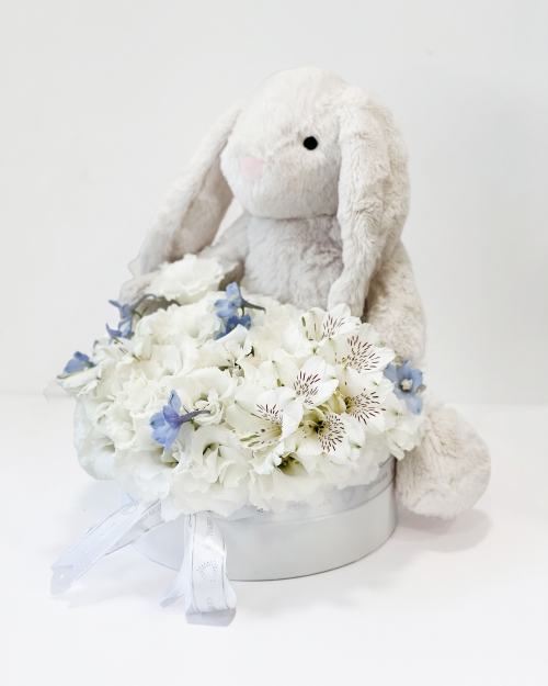 סידור לידה בן