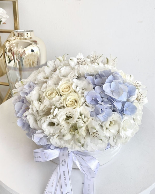 סידור לה נואז' בכלי