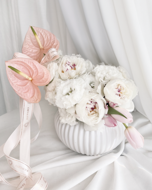 סידור ליס פיונס