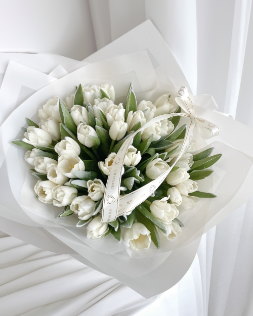 זר וויט טוליפ